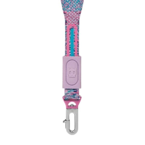 38 Correa Nit Candy A&N Zee Dog