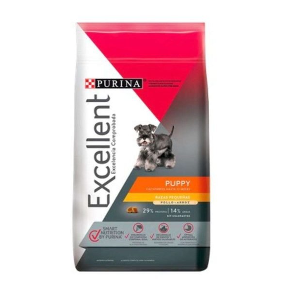 Excellent puppy Small Breed 3 kg
