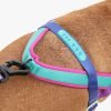 Arnes Antitirón Shock Zee Dog S  A&N