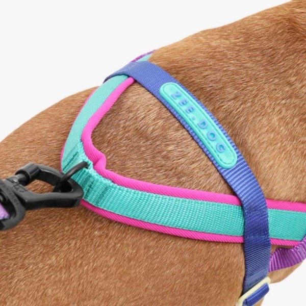 Arnes Antitirón Shock Zee Dog S  A&N