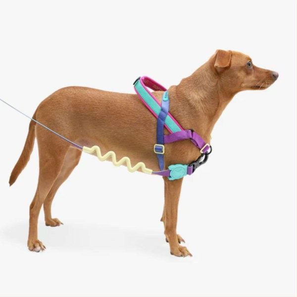 Arnes Antitirón Shock Zee Dog S  A&N