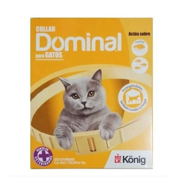 Dominal Collar Gato
