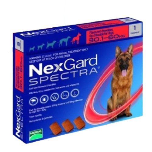Nexgard Spectra  30 a 60 kg