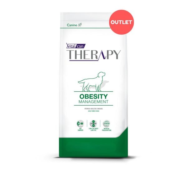 therapy-obesity
