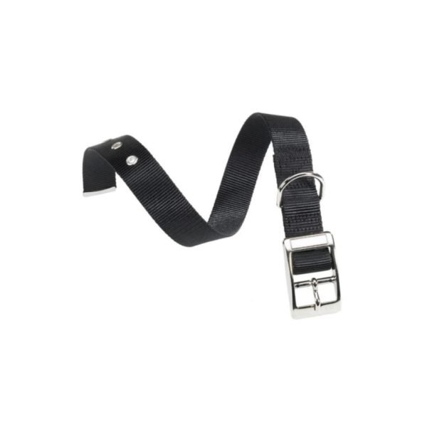 collar-nero Collar Club Collare Forato Ferplast– Varios tamaños y colores