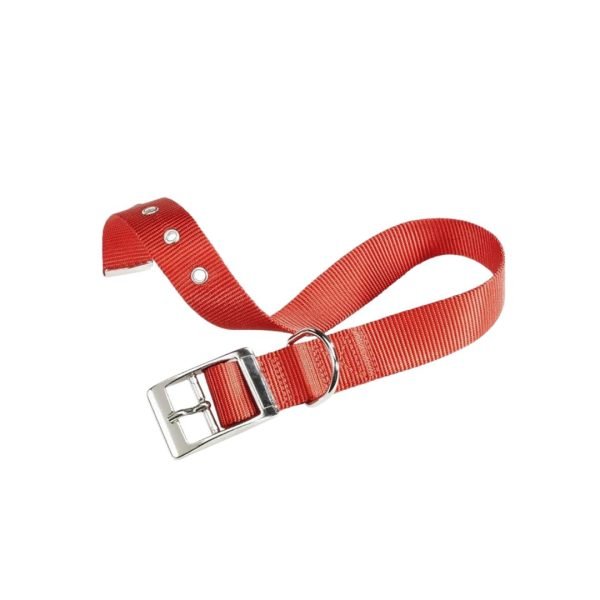 collar-nero-rosso Collar Club Collare Forato Ferplast– Varios tamaños y colores