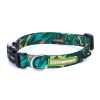 Collar Cachorreiros Samauma_1 Collar Cachorreiros para perro Samauma