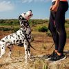 Correa Paseo Para Perro Cachorreiros Samauma
