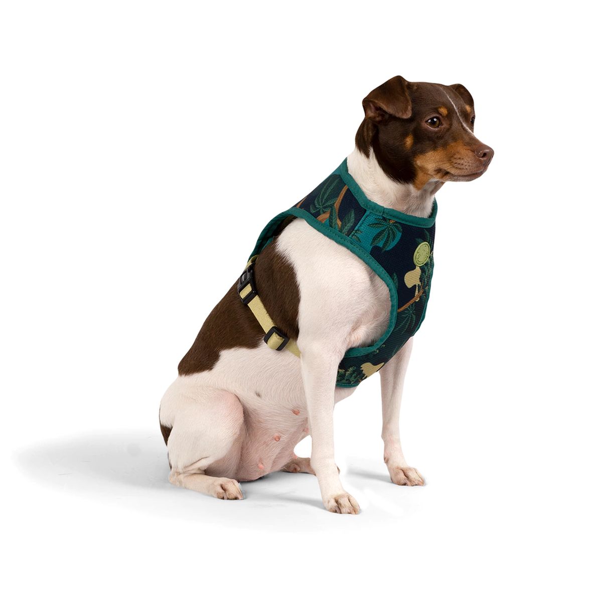 Arnés Perro Cachorreiros Samauma