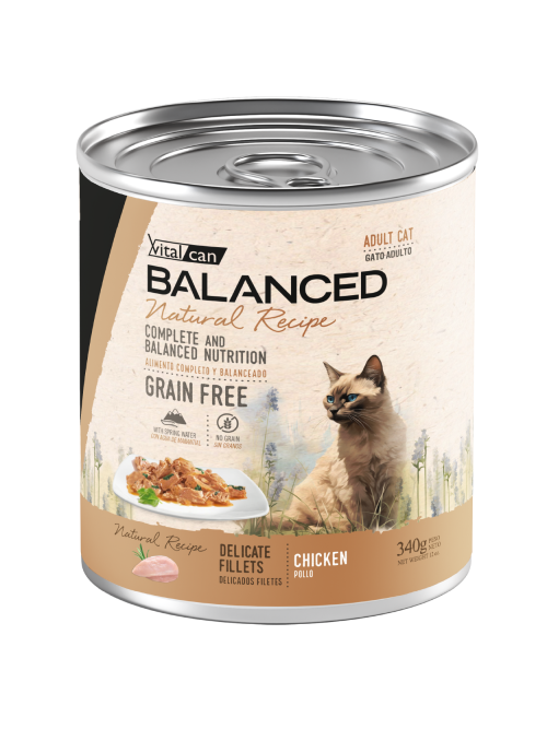 BNR-Lata_Render-Productos_Gato-Adulto-Pollo Natural Recipe Filetes Pollo Gato Adulto 340g